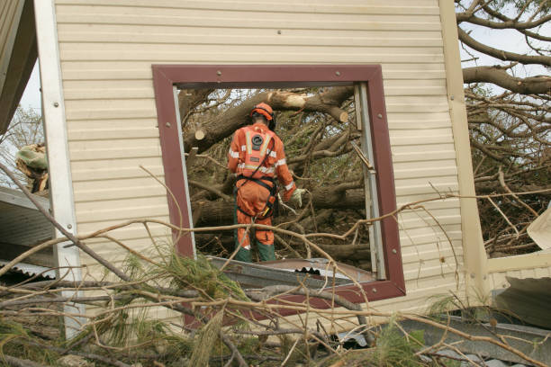 Best Tree Risk Assessment  in Fredonia, NY